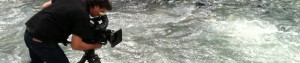 cropped-IMG_0113