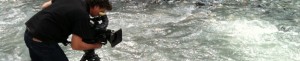 cropped-cropped-IMG_0113